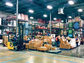 大溫地區(qū)食品浪費(fèi)與饑荒困境 呼吁捐贈(zèng)多余食品